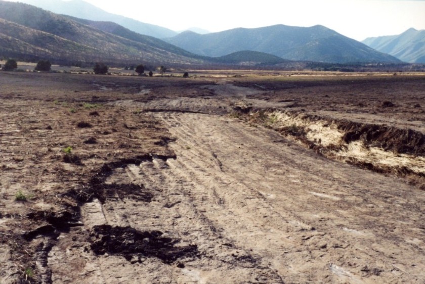 Diamond ring location July 11 2001